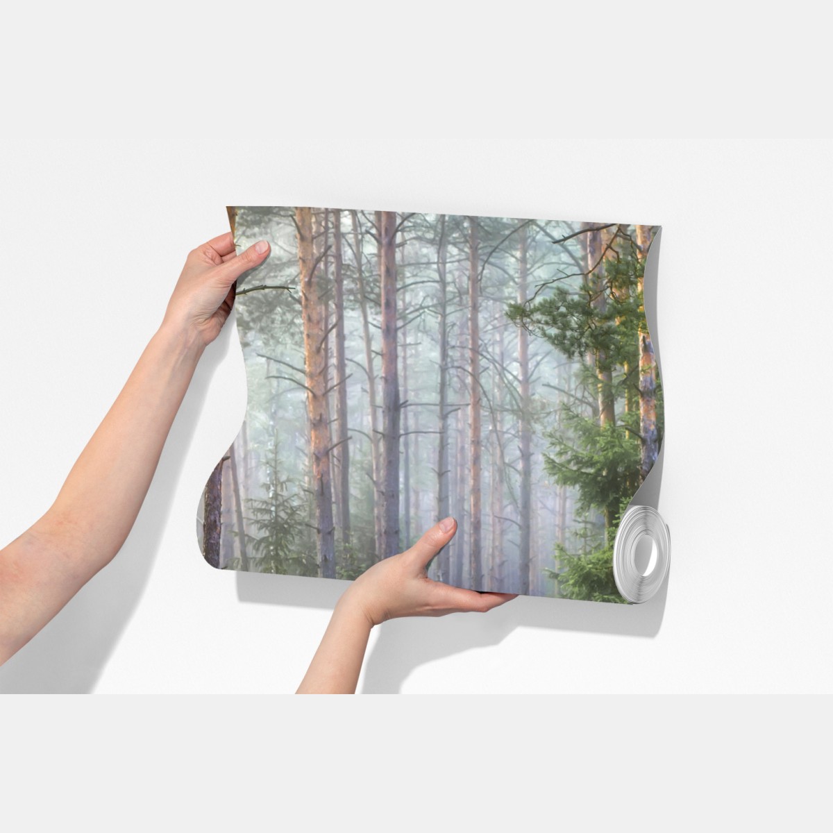 Fototapeta mglisty sosnowy las z ścieżką – Wallissimo® Fototapeta mglisty sosnowy las z ścieżką – Wallissimo®