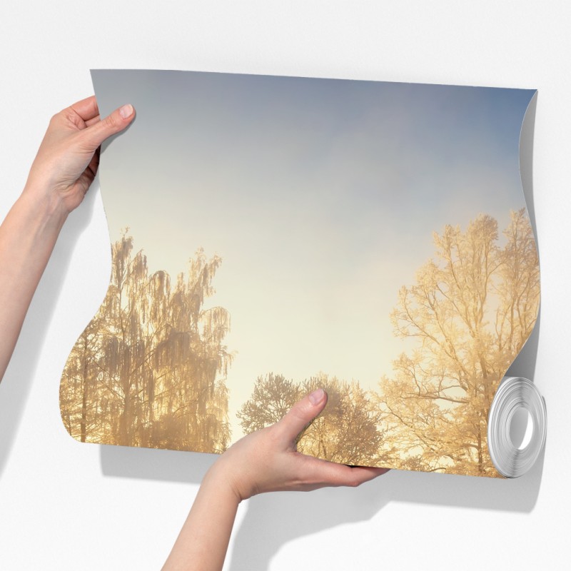 Fototapeta złoty zimowy wschód słońca nad mroźną rzeką – Wallissimo® Fototapeta złoty zimowy wschód słońca nad mroźną rzeką – Wallissimo®