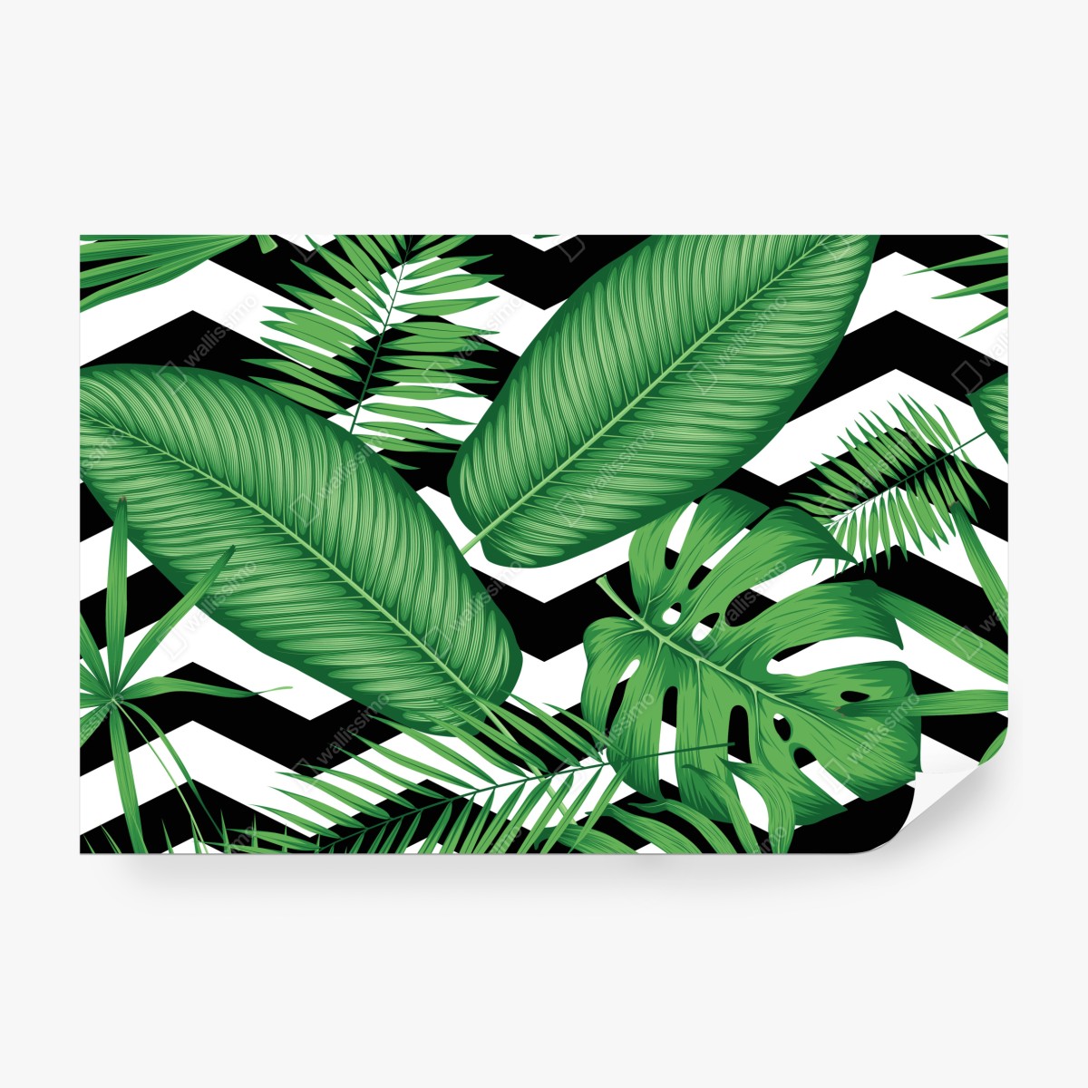 Fototapeta tropikalne liście na zygzakowatym tle – Wallissimo® Fototapeta tropikalne liście na zygzakowatym tle – Wallissimo®