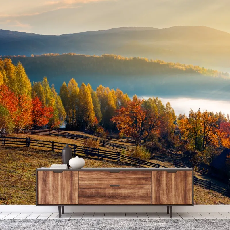 Fototapeta mglisty jesienny wschód słońca na wsi