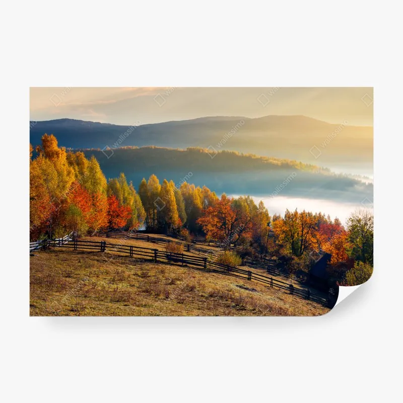 Fototapeta pola lawendy pod błękitnym niebem – Wallissimo®