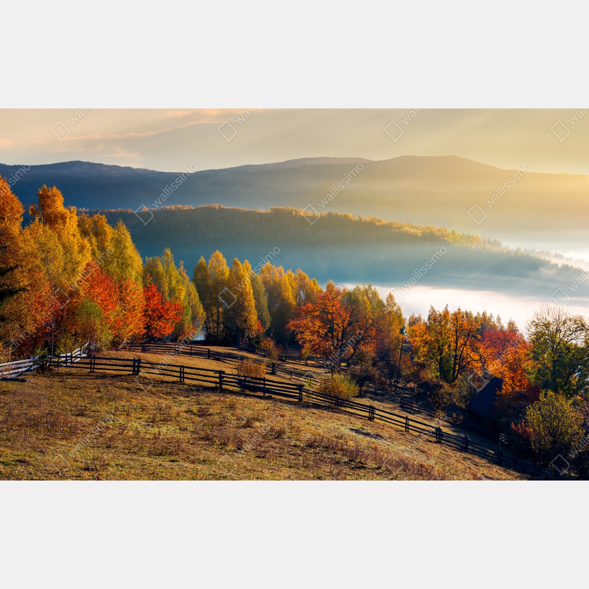 Fototapeta mglisty jesienny wschód słońca na wsi – Wallissimo® Fototapeta mglisty jesienny wschód słońca na wsi – Wallissimo®