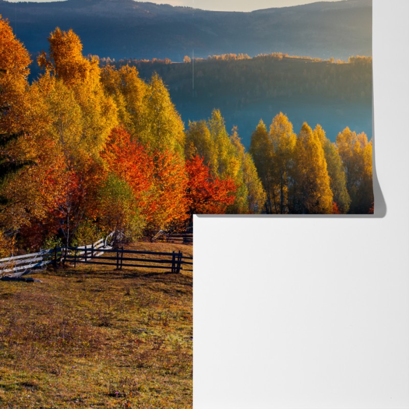 Fototapeta mglisty jesienny wschód słońca na wsi – Wallissimo® Fototapeta mglisty jesienny wschód słońca na wsi – Wallissimo®