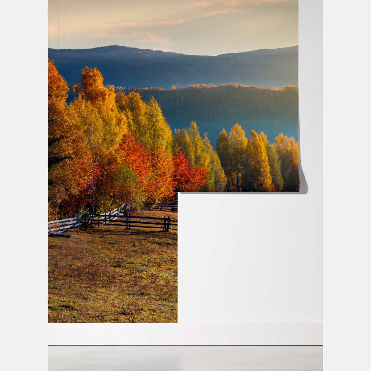 Fototapeta mglisty jesienny wschód słońca na wsi – Wallissimo® Fototapeta mglisty jesienny wschód słońca na wsi – Wallissimo®