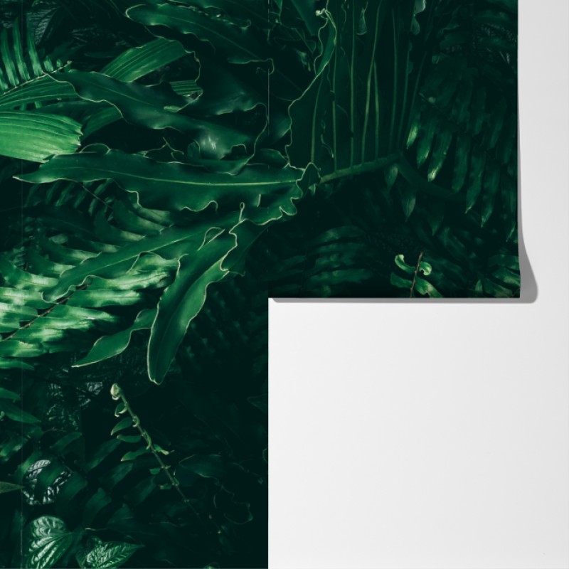 Fototapeta bujne tropikalne liście – Wallissimo® Fototapeta bujne tropikalne liście – Wallissimo®