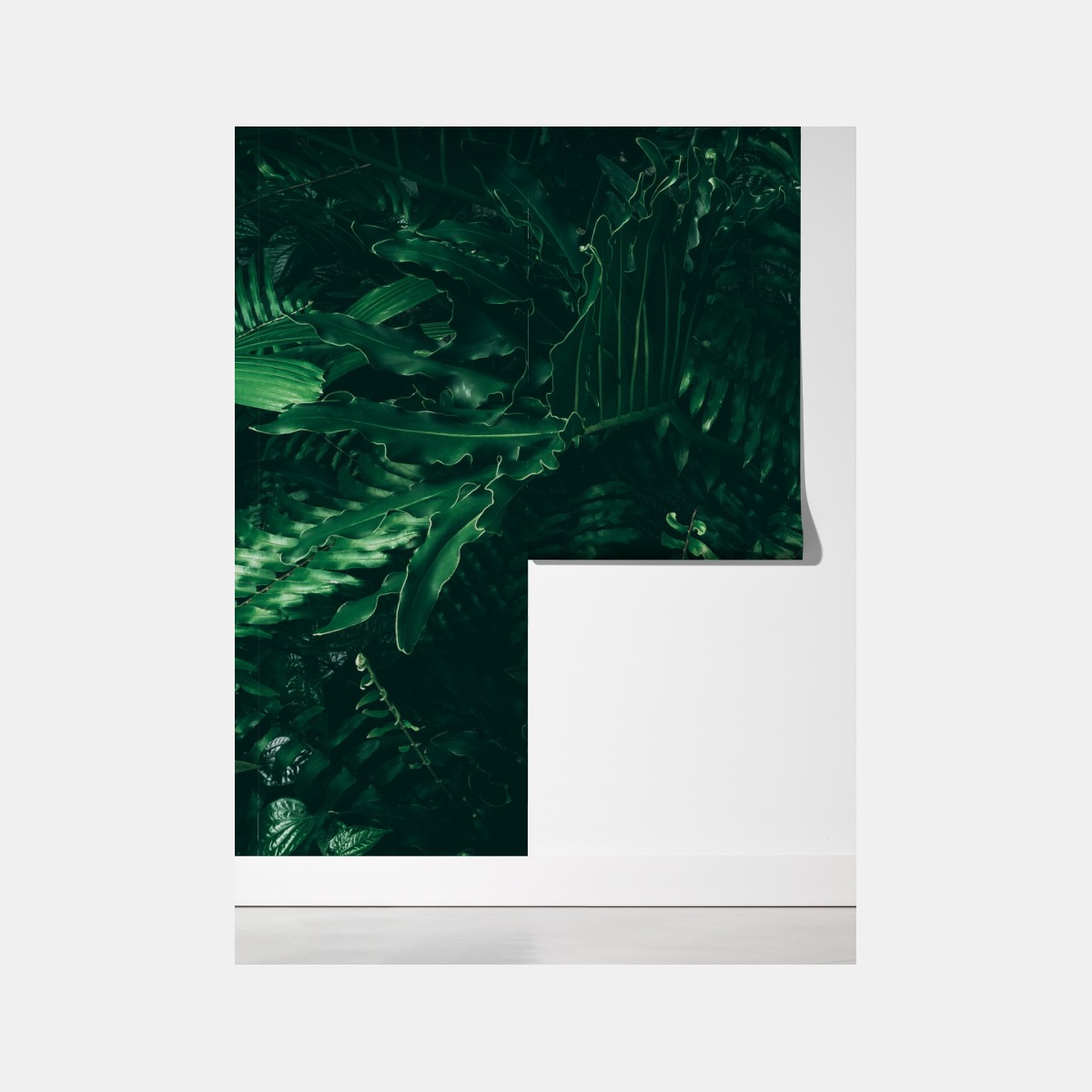 Fototapeta bujne tropikalne liście – Wallissimo® Fototapeta bujne tropikalne liście – Wallissimo®