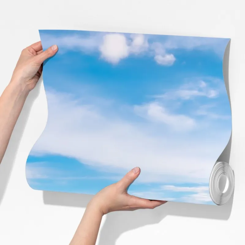 Fototapeta słoneczna panorama Bangkoku nad parkiem Lumpini – Wallissimo® Fototapeta słoneczna panorama Bangkoku nad parkiem Lumpini – Wallissimo®