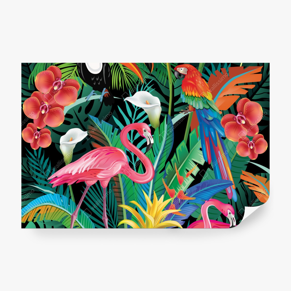 Fototapeta żywe tropikalne ptaki i kwiaty – Wallissimo® Fototapeta żywe tropikalne ptaki i kwiaty – Wallissimo®