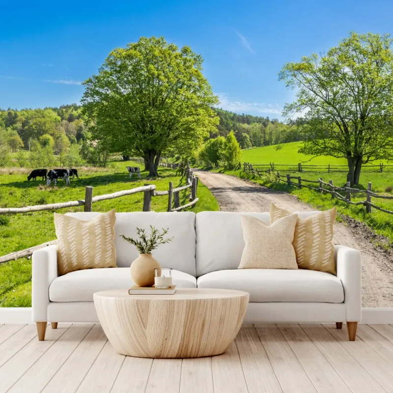 Fototapeta słoneczna wiejska droga przez zielone łąki