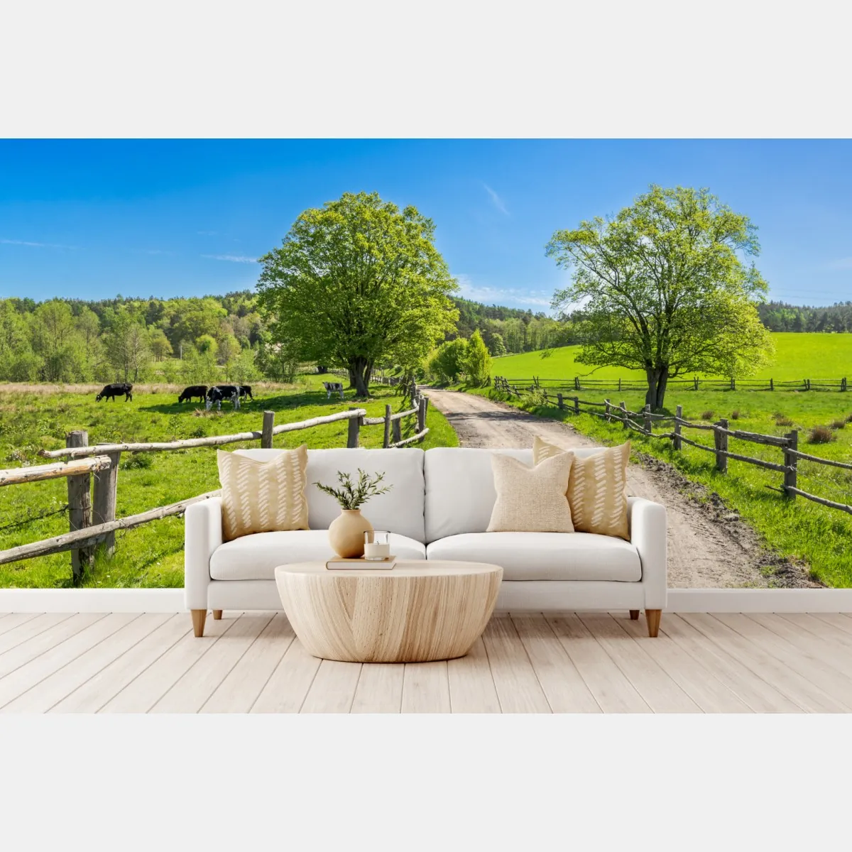Fototapeta słoneczna wiejska droga przez zielone łąki – Wallissimo® Fototapeta słoneczna wiejska droga przez zielone łąki – Wallissimo®