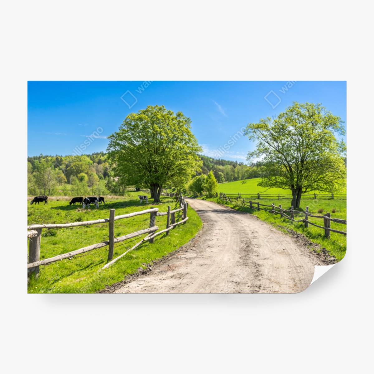 Fototapeta słoneczna wiejska droga przez zielone łąki – Wallissimo® Fototapeta słoneczna wiejska droga przez zielone łąki – Wallissimo®