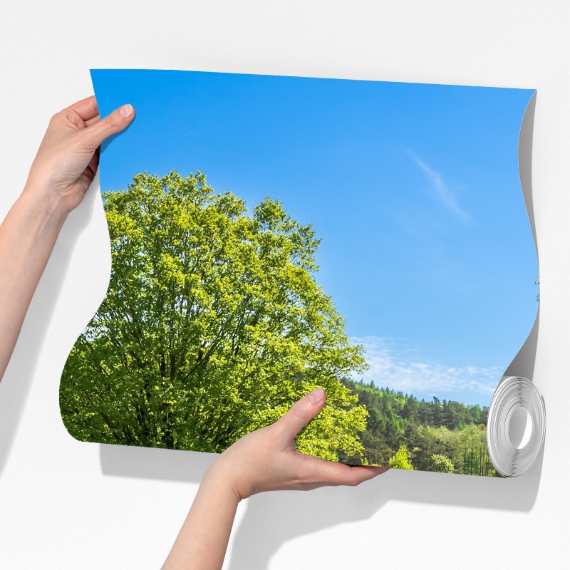 Fototapeta słoneczna wiejska droga przez zielone łąki – Wallissimo® Fototapeta słoneczna wiejska droga przez zielone łąki – Wallissimo®