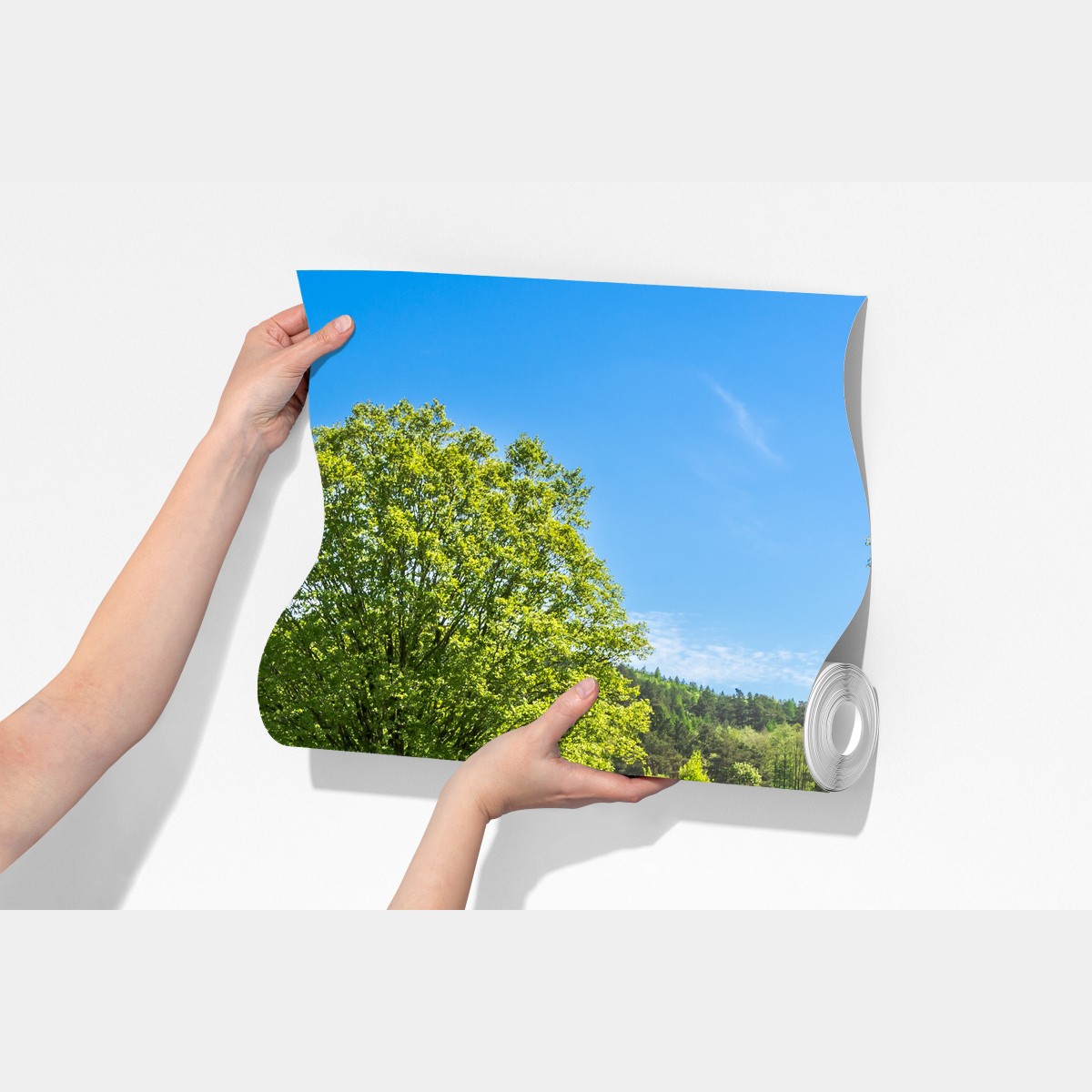 Fototapeta słoneczna wiejska droga przez zielone łąki – Wallissimo® Fototapeta słoneczna wiejska droga przez zielone łąki – Wallissimo®