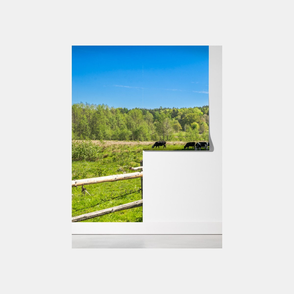 Fototapeta słoneczna wiejska droga przez zielone łąki – Wallissimo® Fototapeta słoneczna wiejska droga przez zielone łąki – Wallissimo®