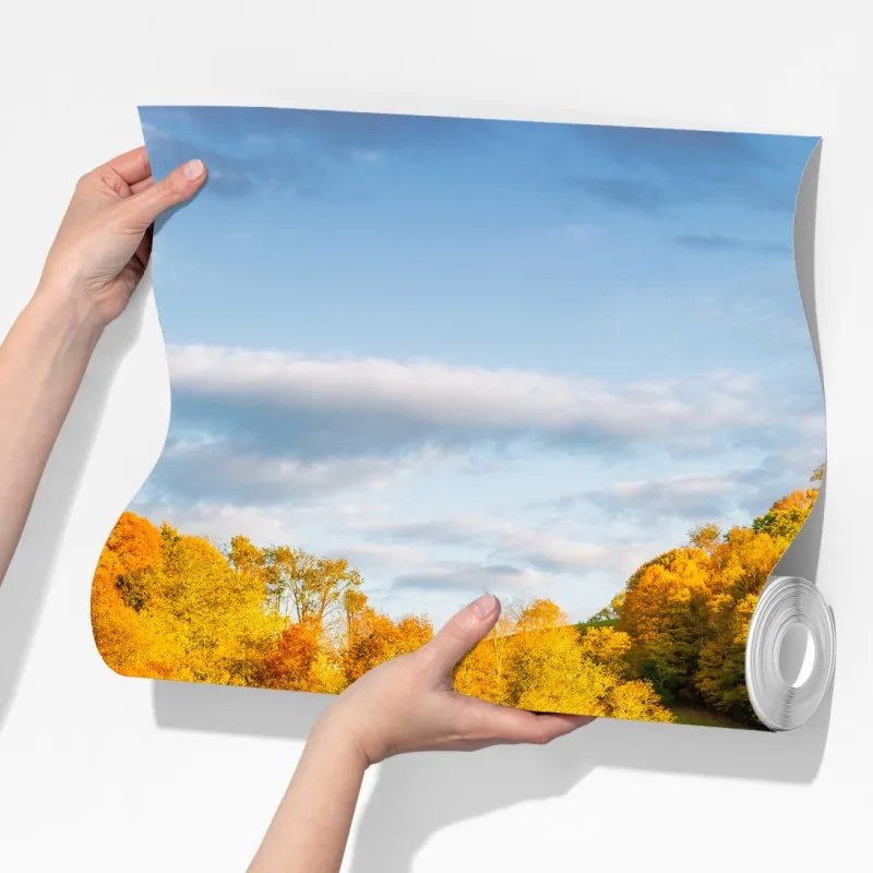 Fototapeta jesienny krajobraz wiejski z czerwoną stodołą – Wallissimo® Fototapeta jesienny krajobraz wiejski z czerwoną stodołą – Wallissimo®