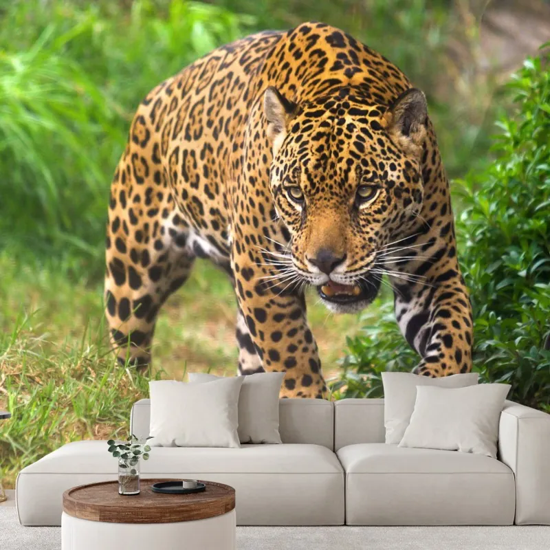 Fototapeta majestatyczny jaguar w naturze – Wallissimo® Fototapeta majestatyczny jaguar w naturze – Wallissimo®