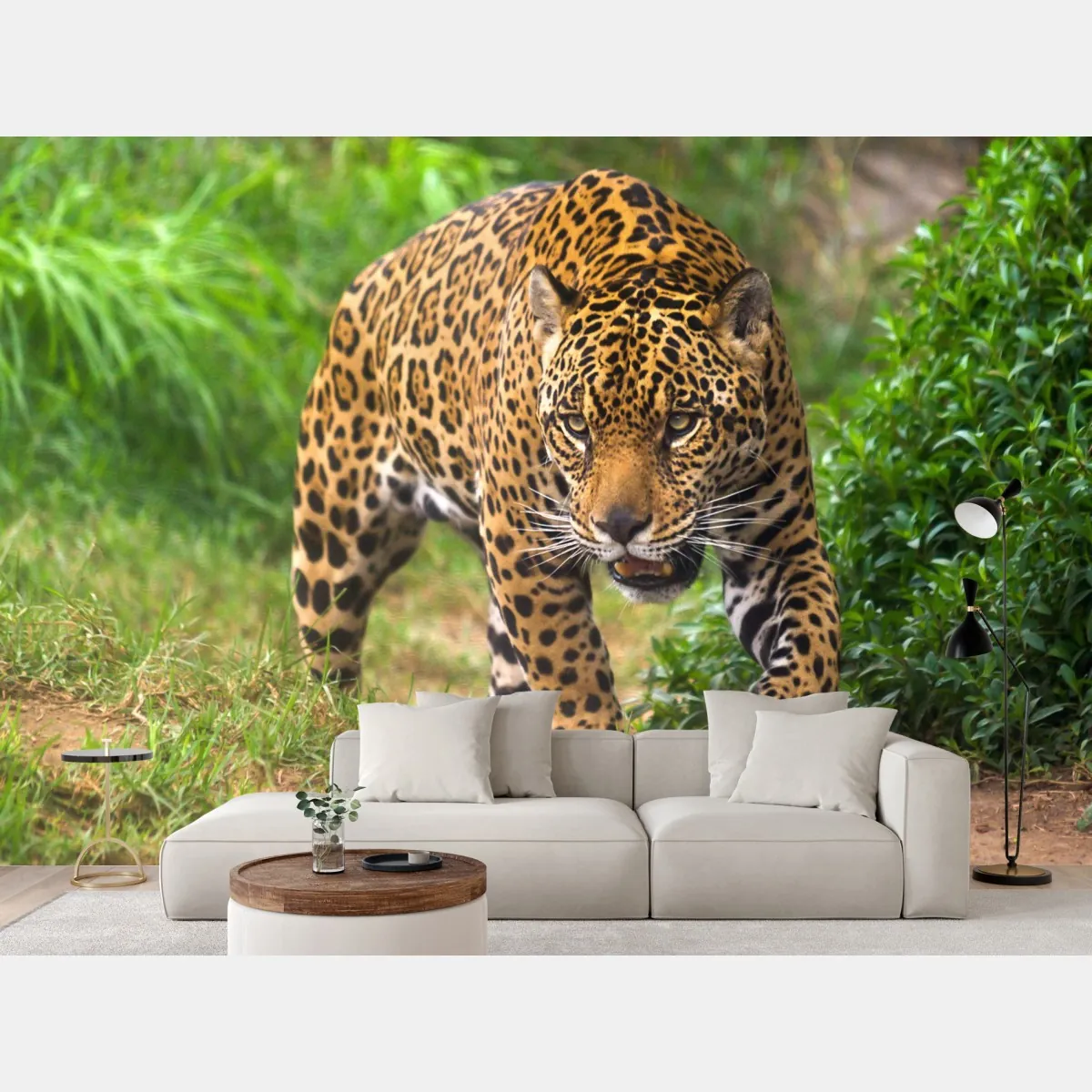 Fototapeta majestatyczny jaguar w naturze – Wallissimo® Fototapeta majestatyczny jaguar w naturze – Wallissimo®