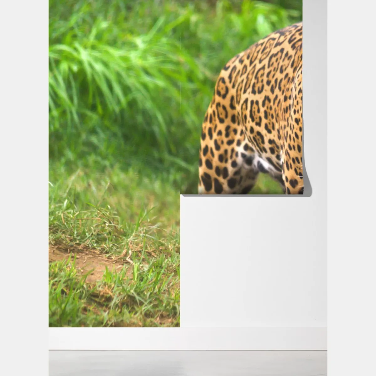 Fototapeta majestatyczny jaguar w naturze – Wallissimo® Fototapeta majestatyczny jaguar w naturze – Wallissimo®