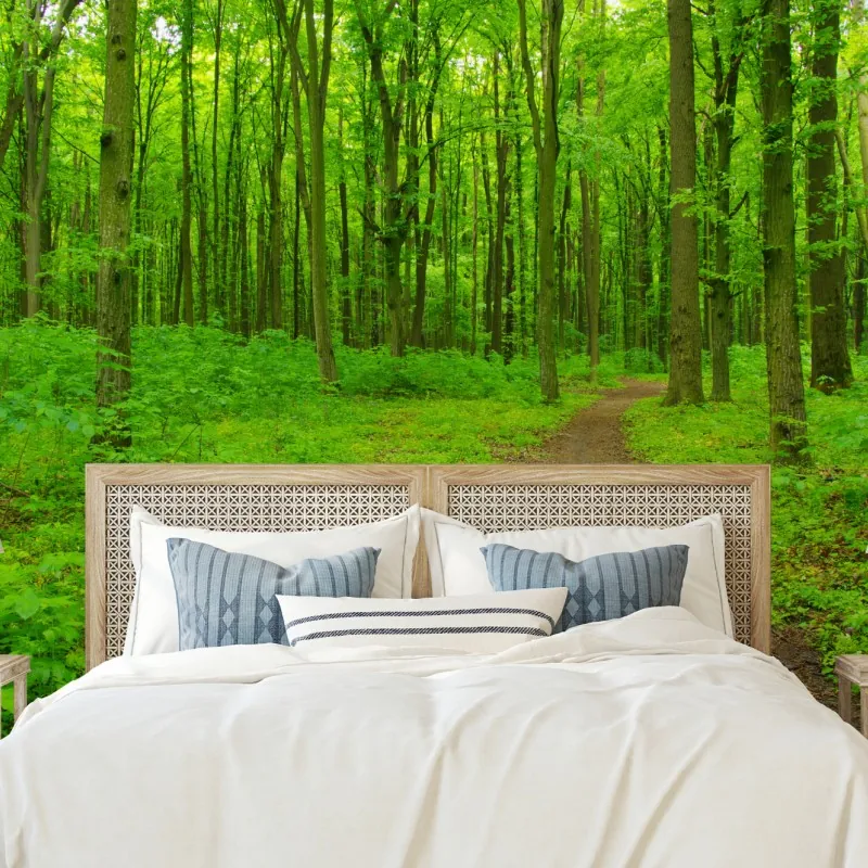 Fototapeta spokojna zielona leśna ścieżka