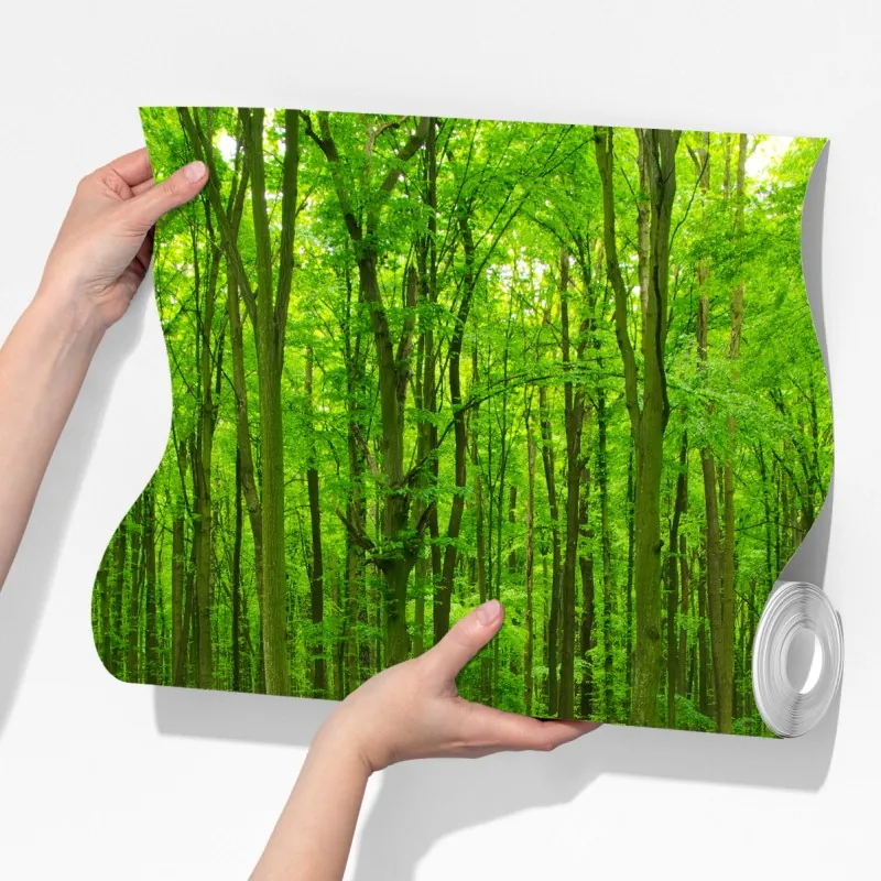 Fototapeta spokojna zielona leśna ścieżka – Wallissimo® Fototapeta spokojna zielona leśna ścieżka – Wallissimo®