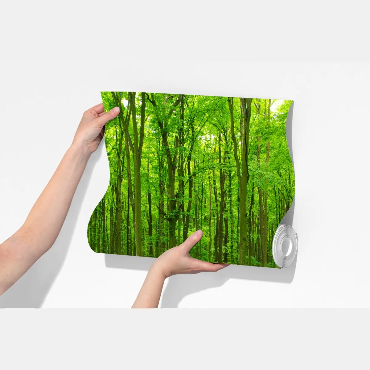 Fototapeta spokojna zielona leśna ścieżka – Wallissimo® Fototapeta spokojna zielona leśna ścieżka – Wallissimo®