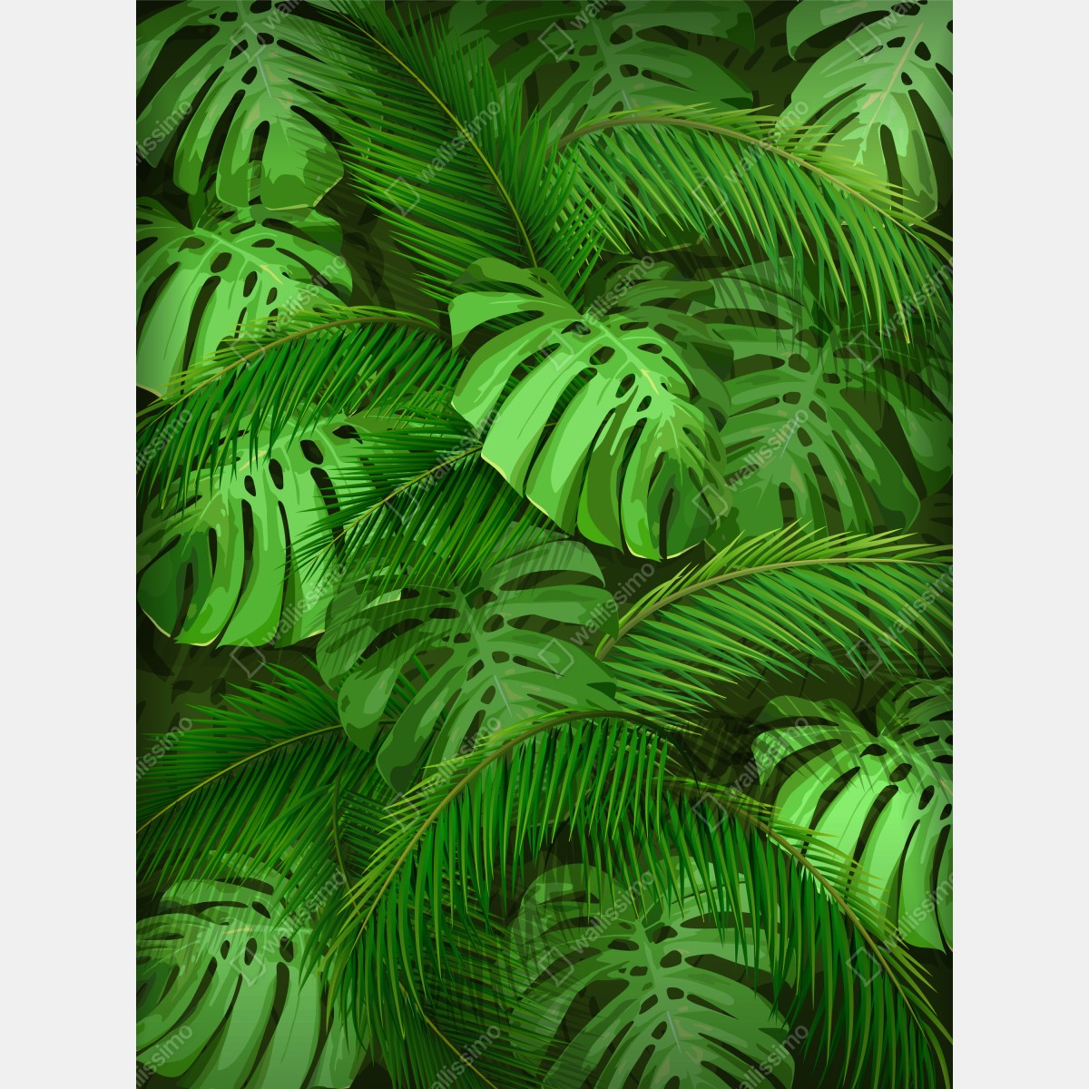 Fototapeta bujne tropikalne liście monstery i palmy – Wallissimo® Fototapeta bujne tropikalne liście monstery i palmy – Wallissimo®