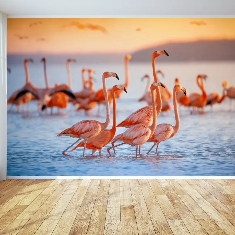 Fototapeta różowe flamingi o zachodzie słońca