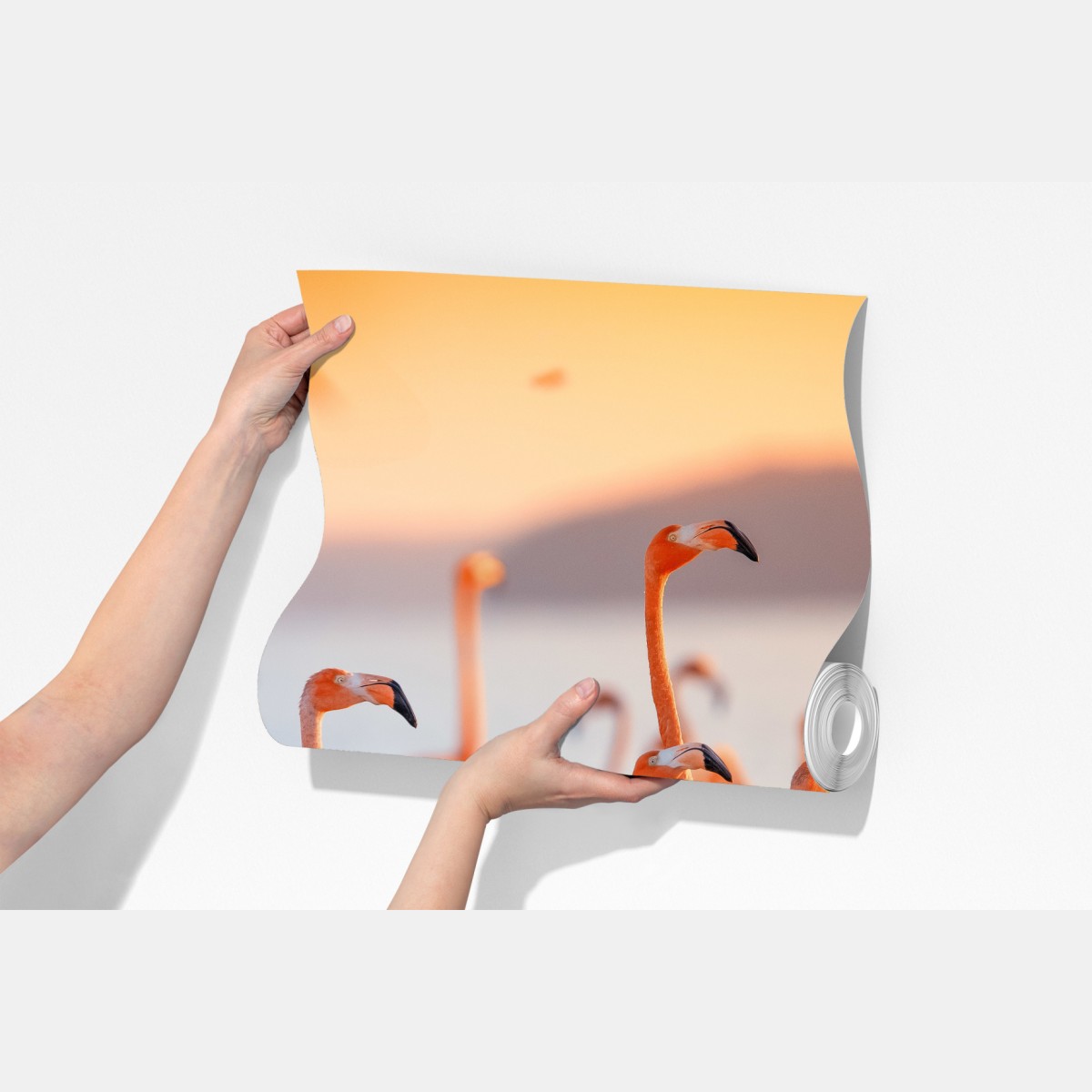 Fototapeta różowe flamingi o zachodzie słońca – Wallissimo® Fototapeta różowe flamingi o zachodzie słońca – Wallissimo®