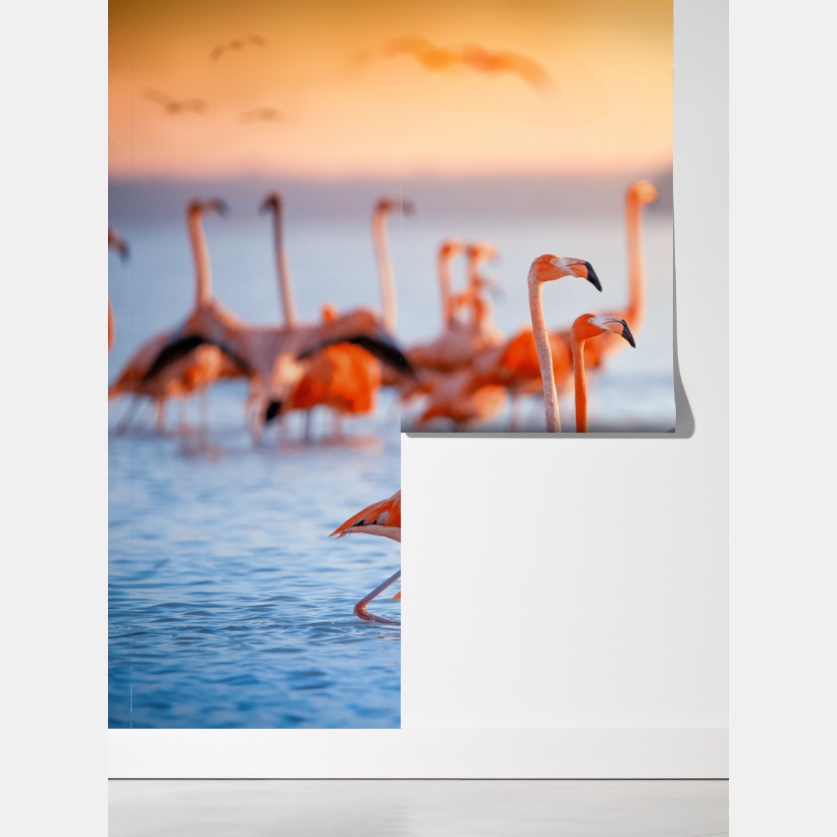 Fototapeta różowe flamingi o zachodzie słońca – Wallissimo® Fototapeta różowe flamingi o zachodzie słońca – Wallissimo®