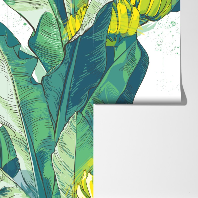 Fototapeta tropikalna ilustracja liści bananowca – Wallissimo® Fototapeta tropikalna ilustracja liści bananowca – Wallissimo®