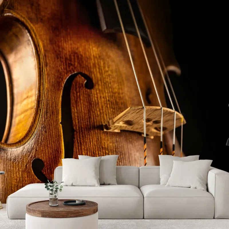 Fototapeta zbliżenie ciepłych drewnianych skrzypiec