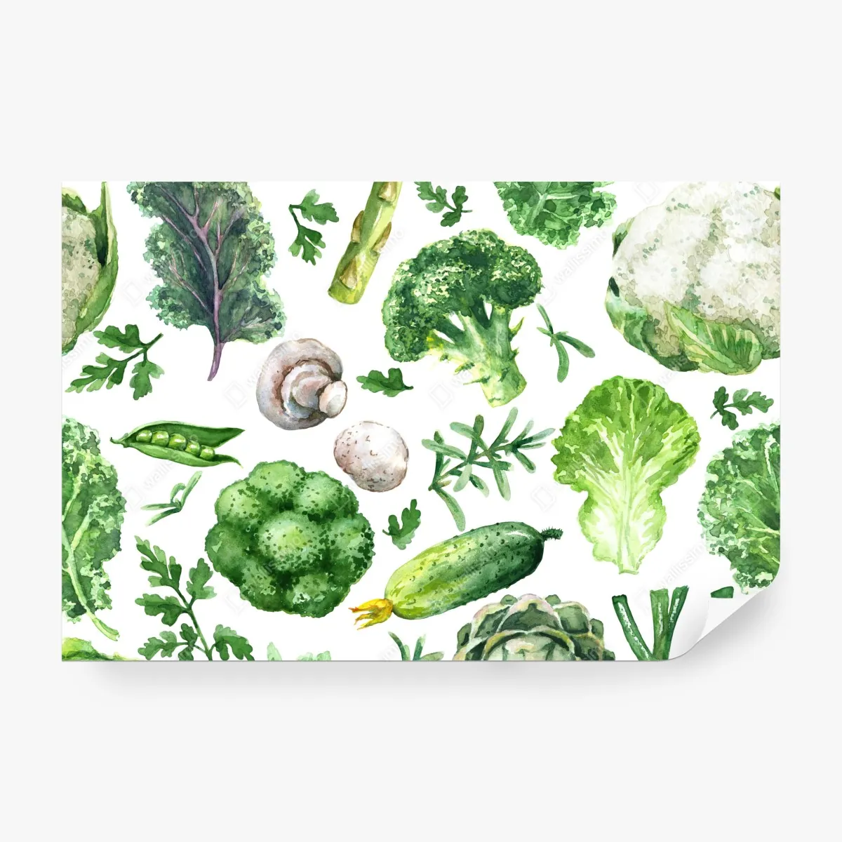 Fototapeta akwarelowy wzór zielonych warzyw – Wallissimo® Fototapeta akwarelowy wzór zielonych warzyw – Wallissimo®