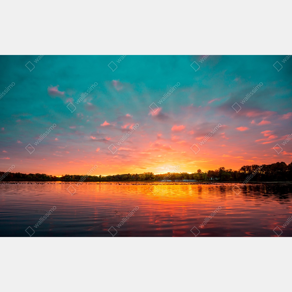 Fototapeta turkusowy zachód słońca nad spokojnym jeziorem – Wallissimo® Fototapeta turkusowy zachód słońca nad spokojnym jeziorem – Wallissimo®