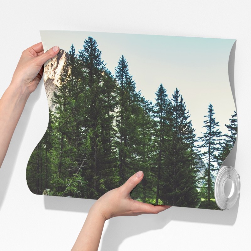 Fototapeta malownicza alpejska rzeka w Ferret Valley – Wallissimo® Fototapeta malownicza alpejska rzeka w Ferret Valley – Wallissimo®