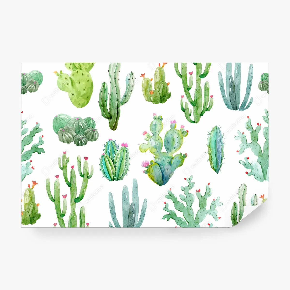 Fototapeta akwarelowy wzór ogrodu kaktusów – Wallissimo® Fototapeta akwarelowy wzór ogrodu kaktusów – Wallissimo®