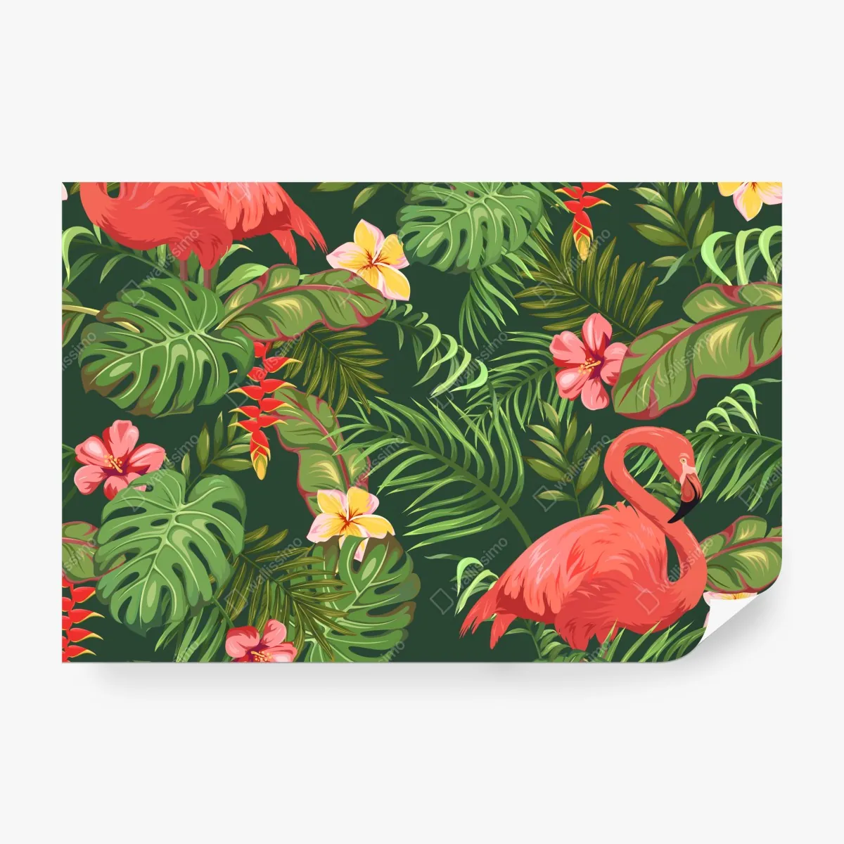 Fototapeta tropikalne flamingi w bujnej roślinności – Wallissimo® Fototapeta tropikalne flamingi w bujnej roślinności – Wallissimo®