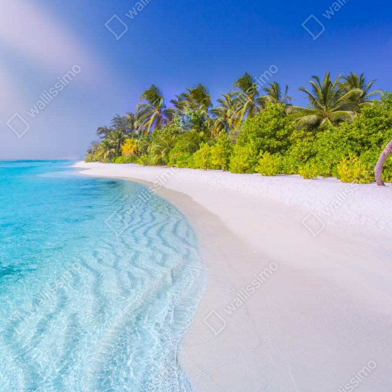 Fototapeta tropikalna turkusowa plaża – Wallissimo® Fototapeta tropikalna turkusowa plaża – Wallissimo®