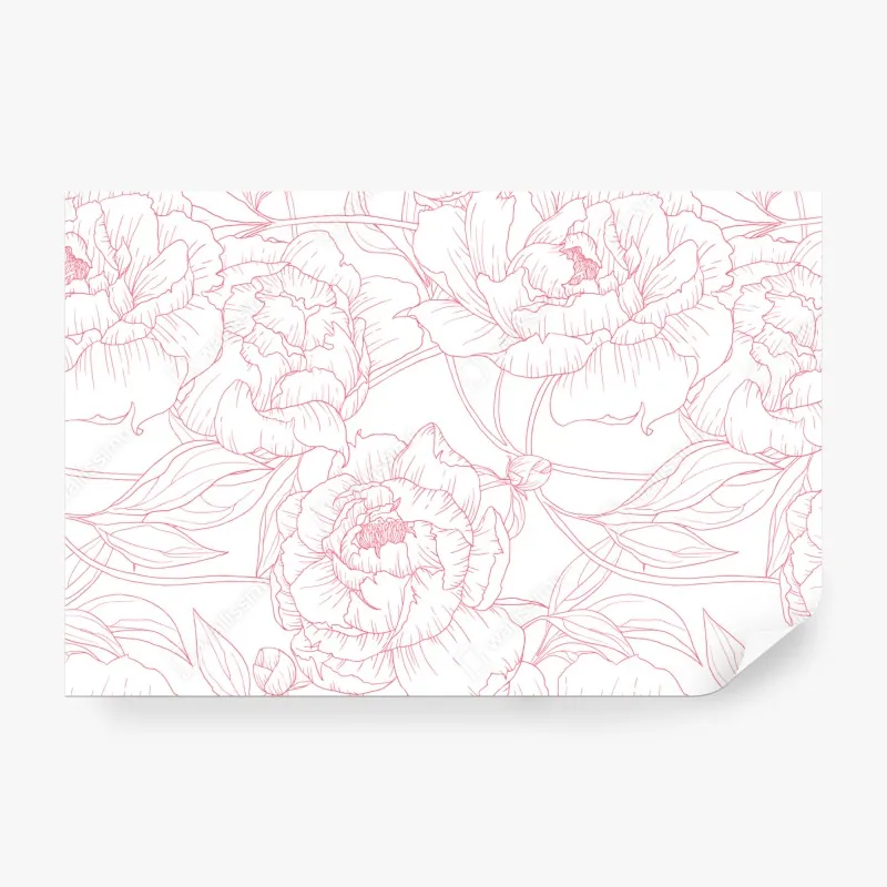 Fototapeta delikatny różowy wzór piwonii w stylu line art