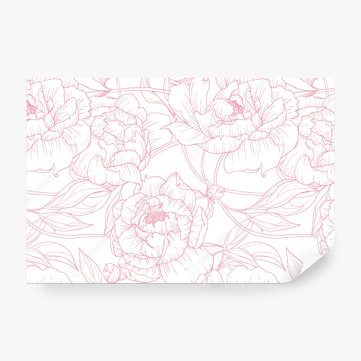 Fototapeta delikatny różowy wzór piwonii w stylu line art – Wallissimo® Fototapeta delikatny różowy wzór piwonii w stylu line art – Wallissimo®