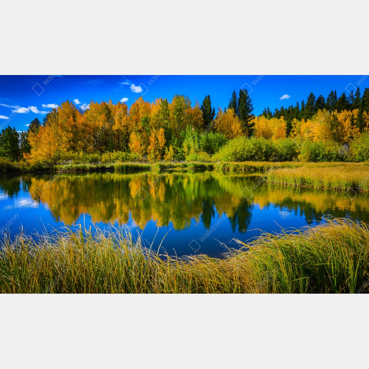 Fototapeta jesienne drzewa odbite w spokojnym jeziorze – Wallissimo® Fototapeta jesienne drzewa odbite w spokojnym jeziorze – Wallissimo®