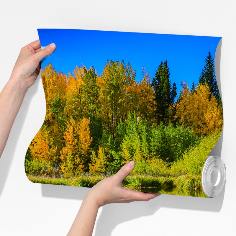 Fototapeta jesienne drzewa odbite w spokojnym jeziorze – Wallissimo® Fototapeta jesienne drzewa odbite w spokojnym jeziorze – Wallissimo®