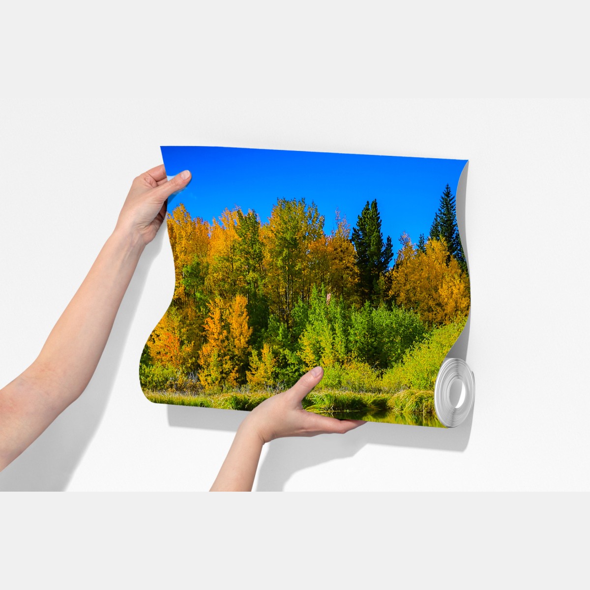 Fototapeta jesienne drzewa odbite w spokojnym jeziorze – Wallissimo® Fototapeta jesienne drzewa odbite w spokojnym jeziorze – Wallissimo®