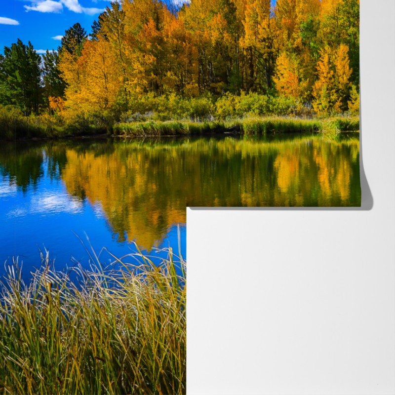 Fototapeta jesienne drzewa odbite w spokojnym jeziorze – Wallissimo® Fototapeta jesienne drzewa odbite w spokojnym jeziorze – Wallissimo®