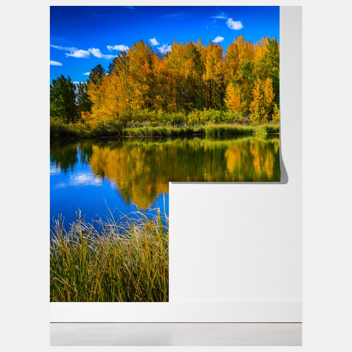 Fototapeta jesienne drzewa odbite w spokojnym jeziorze – Wallissimo® Fototapeta jesienne drzewa odbite w spokojnym jeziorze – Wallissimo®