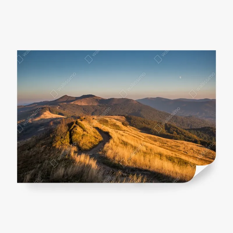 Fototapeta wzór z uroczymi lisami w pastelowym beżu – Wallissimo®