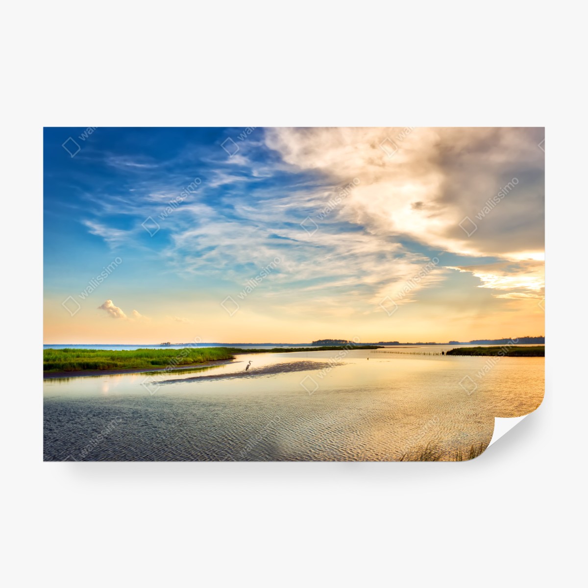 Fototapeta czapla nad zatoką Chesapeake o zachodzie słońca – Wallissimo® Fototapeta czapla nad zatoką Chesapeake o zachodzie słońca – Wallissimo®