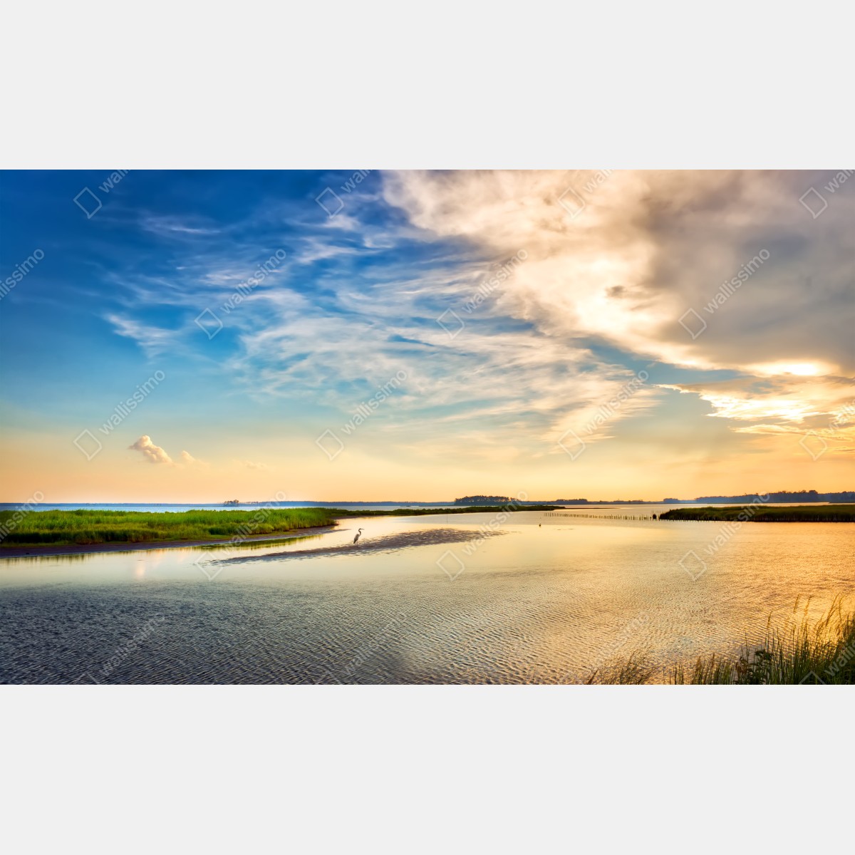 Fototapeta czapla nad zatoką Chesapeake o zachodzie słońca – Wallissimo® Fototapeta czapla nad zatoką Chesapeake o zachodzie słońca – Wallissimo®