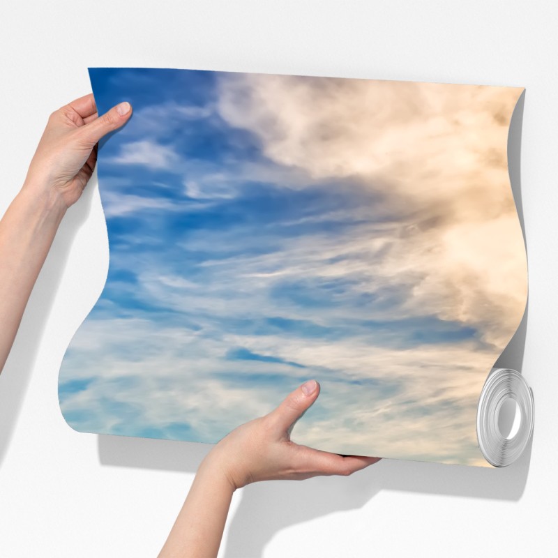 Fototapeta czapla nad zatoką Chesapeake o zachodzie słońca – Wallissimo® Fototapeta czapla nad zatoką Chesapeake o zachodzie słońca – Wallissimo®