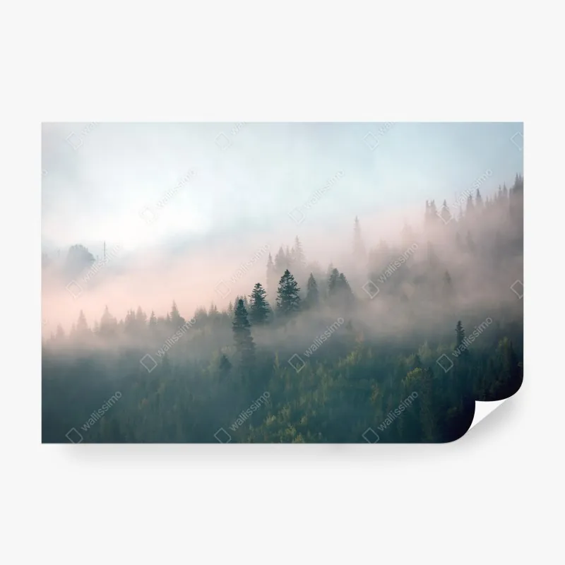 Fototapeta mglisty poranek w lesie