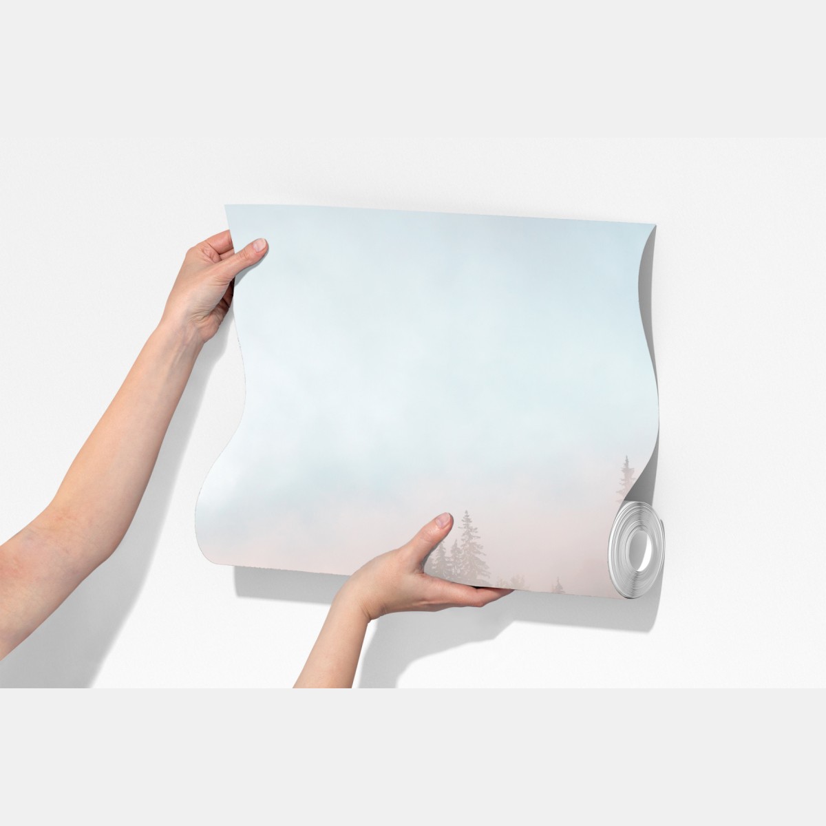 Fototapeta mglisty poranek w lesie – Wallissimo® Fototapeta mglisty poranek w lesie – Wallissimo®